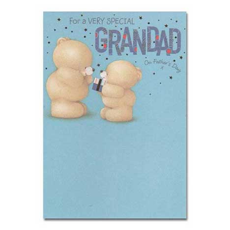 Special Grandad on Fathers Day Forever Friends Card